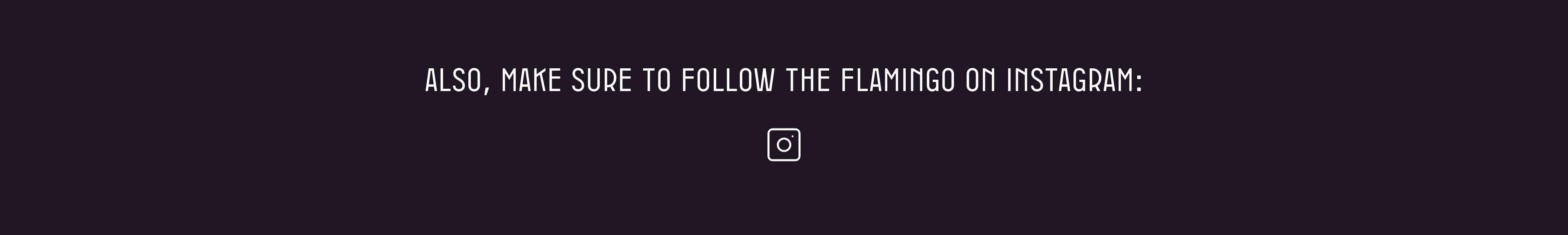 Also, make sure to follow the flamingo on instagram: @blackflamingo_theoriginal