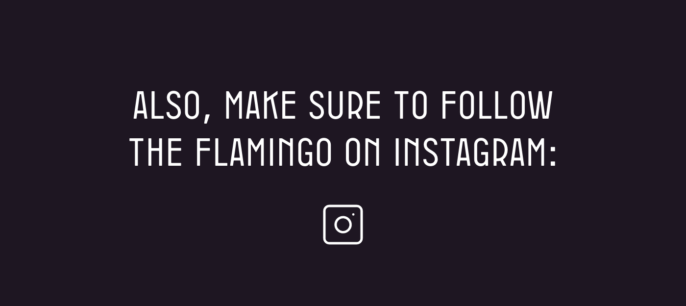 Also, make sure to follow the flamingo on instagram: @blackflamingo_theoriginal